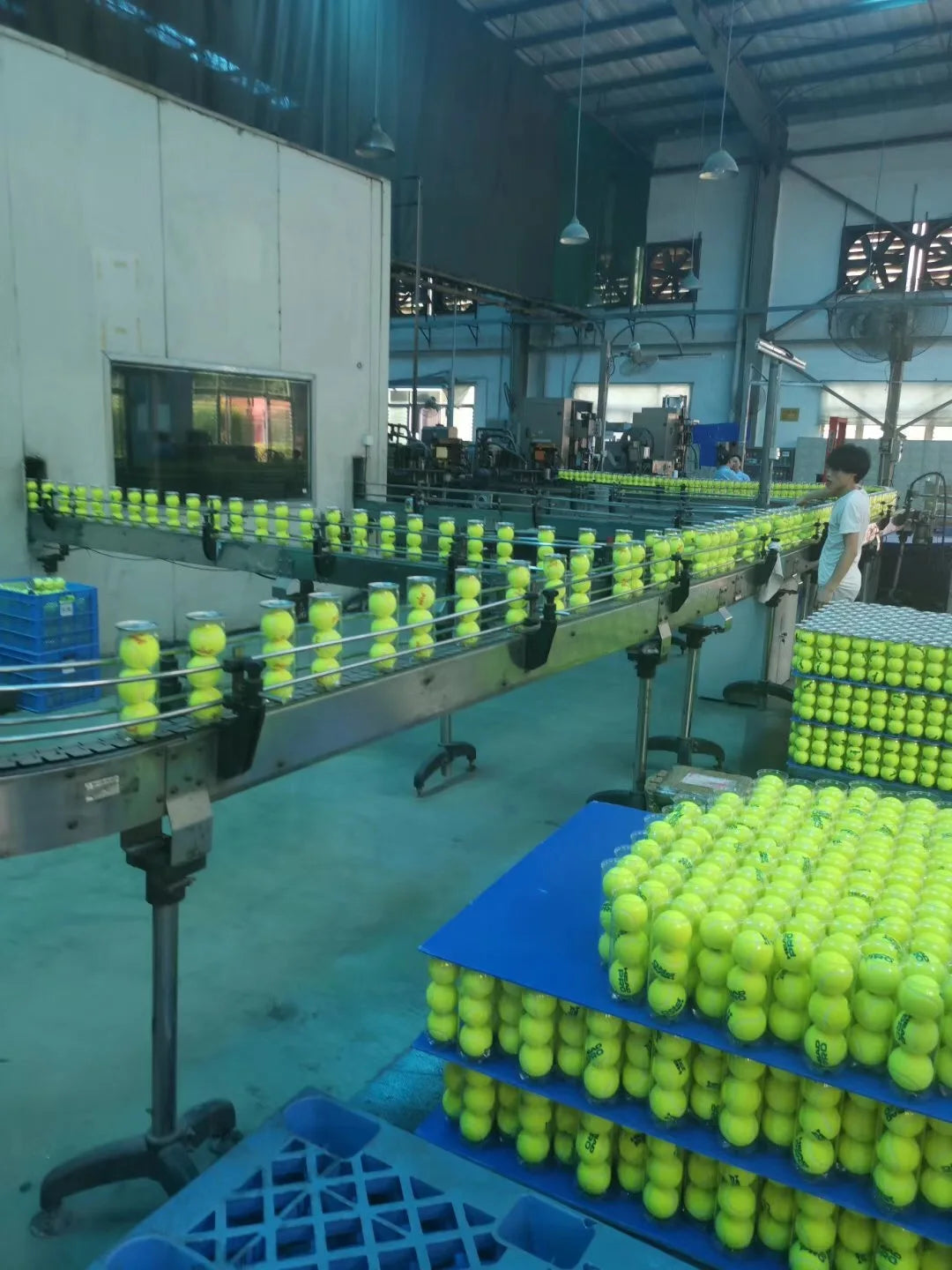 AMASPORT Padel Tennis Ball Packed in Pressurized Tubes Wool Needle Felt IPF Approval High Quality Balls Padel Accessories - Ravar