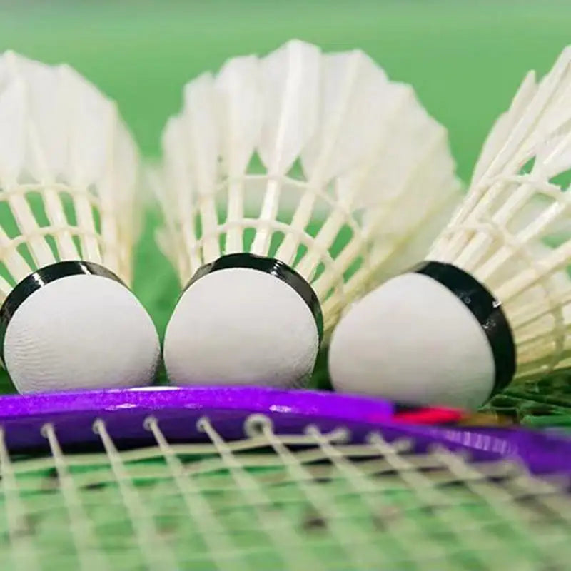 12-Pack Feather Badminton Shuttlecocks – Goose Feather & Foam Head for High-Speed Training & Outdoor - Ravar