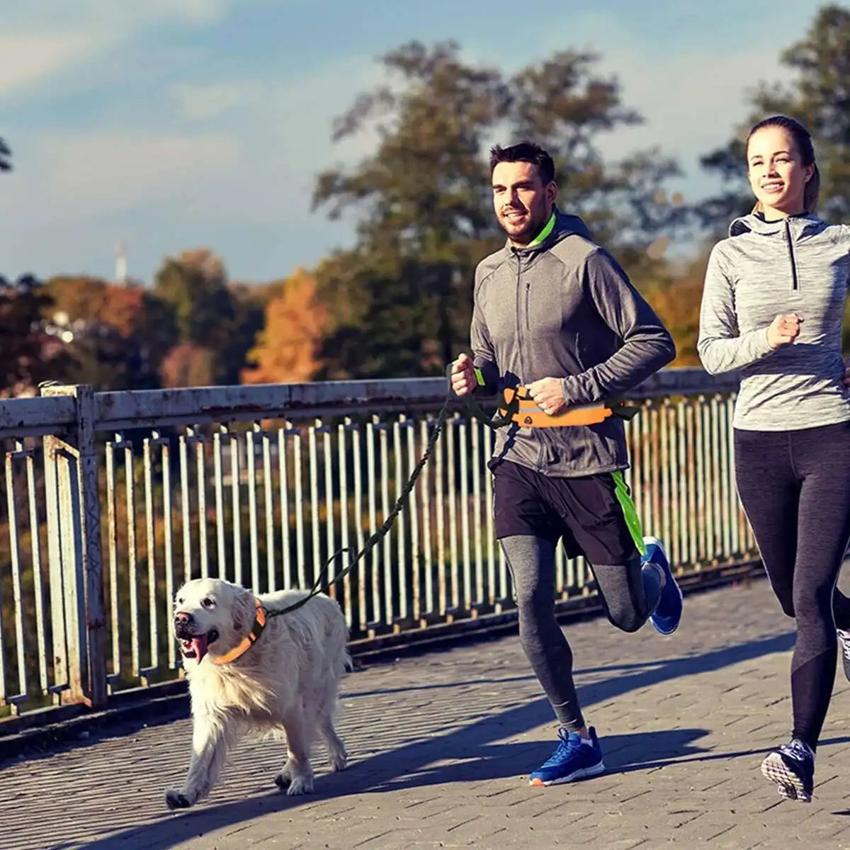 Hands-Free Dog Running Leash with Adjustable Waist Bag – Reflective & Shock-Absorbing Design - Ravar