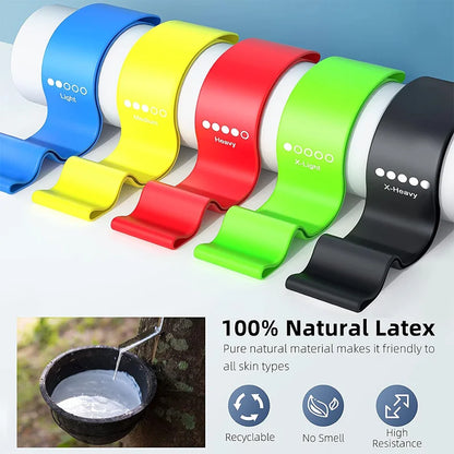 1 to 5 Piece Resistance Bands Set – Versatile Fitness Bands for Strength & Flexibility - Ravar